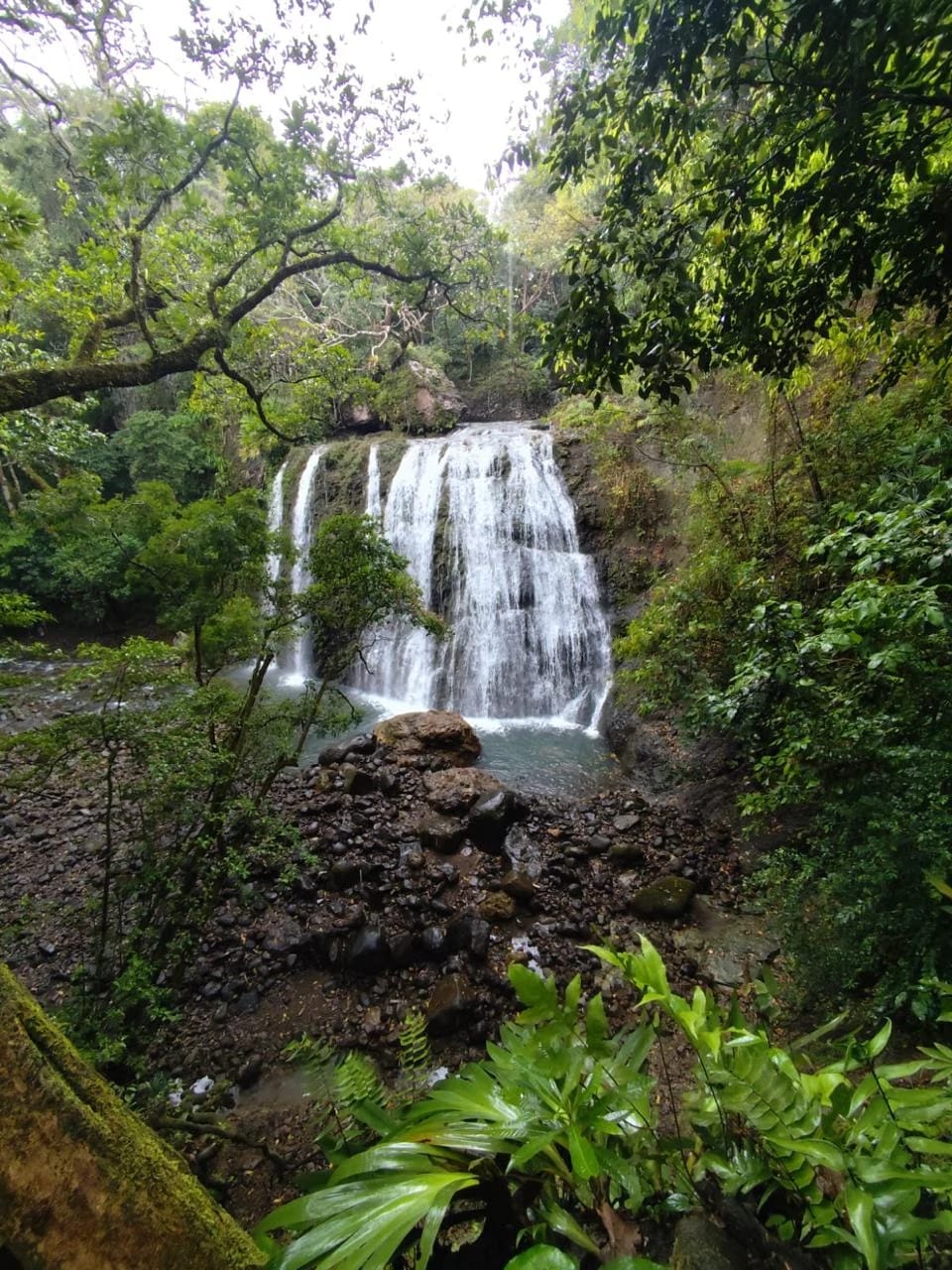 Waterfall surrounded by lush rainforest